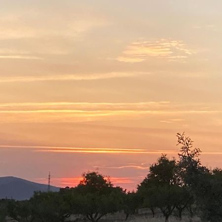 Finca El Atardecer-Luna Los Santos de Maimona Eksteriør billede